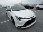 Toyota Corolla WXB Pearl Body Kit 2021