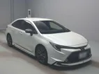 Toyota Corolla WXB Pearl Body Kit 2021