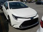 Toyota Corolla WXB Pearl Color 2020