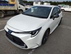 Toyota Corolla WxB Pearl Color 😱 2021