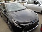Toyota Corolla WXB PKG 2020
