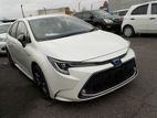 Toyota Corolla WXB PKG, PEARL COLOR 2019