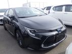 Toyota Corolla WXB READY SHOWROOM 2020