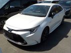 Toyota Corolla WXB READY SHOWROOM 2020