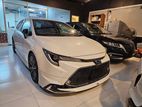 Toyota Corolla WXB Ready Stock 2020