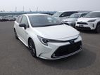 Toyota Corolla WxB TOURING PEARL 2020