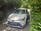 Toyota Corolla wxb Trd 2019