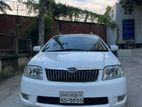 Toyota Corolla X - Filder 2005