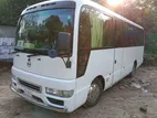 Toyota Coster Bus For Rent