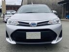 Toyota Fielder Hybrid X 2019