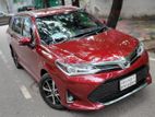 Toyota Fielder WXB Package 2018