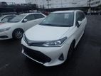 Toyota Fielder WxB PAG 2019