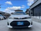 Toyota Fielder X Hybrid 2019