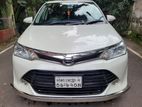 Toyota Fielder X package 2017