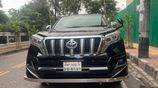 Toyota Land Cruiser TX Prado: 2009