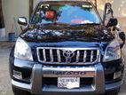 Toyota Prado tx 2006