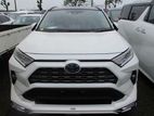 Toyota RAV4 G - 4WD BodyKit 2019