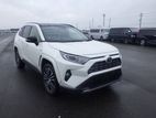 Toyota RAV4 G Hybrid Pearl 2020