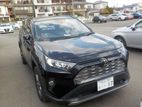 Toyota RAV4 G LEATHER PEARL 2019