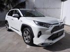 Toyota RAV4 G PACKAGE HYBRID 2019
