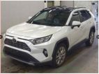 Toyota RAV4 G-Z PKG PEARL OCTEN 2020