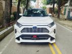 Toyota RAV4 (Hybrid) 2019