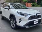 Toyota RAV4 HYBRID 2020