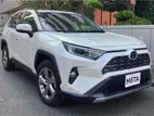 Toyota RAV4 HYBRID 2020