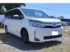 Toyota Voxy Pre Order 2019