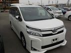 Toyota Voxy SUNROOF PEARL 2019