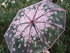 Transparent Umbrella for sell
