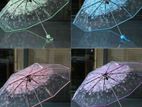 Transparent Umbrella Automatic Sun Rain Compact Folding