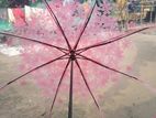 Transparent umbrella