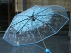 Transparent umbrella
