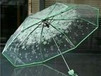 Transparent Umbrella.