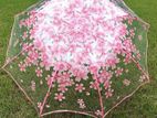 Transparent Umbrella