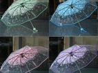 transparent unique umbrella
