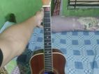 Travel Guiter