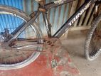 Trinwf Bicycle for Sell