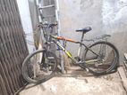 Trinx 208m
