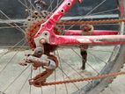 Trinx Cycle