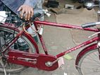 Bicycle for sell