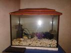 Aquarium Sell
