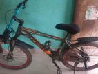 Phoenix Bicycle For Sale