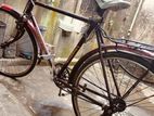 Bicycle for sell