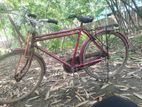 Bicycle for sell