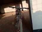 Cycle for sell