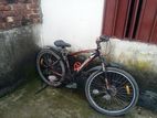 Duranta Bicycle for sale