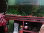 Aquarium for sell