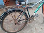 Bicycle for sell